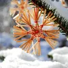 COM-FOUR® 36x Strohsterne im Mix-Set - Christbaum-Schmuck - Produktbild-Vorschau 3