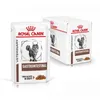 Royal Canin Cat Vet Diet Kapsička Gastro Intestinal 12x85g Náhľad obrázku produktu 3