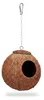 Relaxdays, set de 2 casas para pájaros, hechas de cáscara Vista previa de la imagen del producto 8