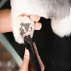 Ostrze do maszynki Wahl Pro Pet Trimmer Blade Fidela 0,4 mm Podgląd zdjęcia produktu 3