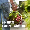 Garten Langzeit-Dünger (2 kg) | Dünger von COMPO Produktbild-Vorschau 7
