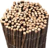 floraworld Sichtschutz Weide300 x 18 0 cmclassic Produktbild-Vorschau 12