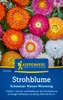 Kiepenkerl Strohblumensamen Schweizer Riesen Xerochrysum Produktbild-Vorschau 1