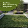 Samenshop24® DSV530 Schotterrasen 10kg für 400m² Produktbild-Vorschau 6