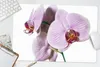 MuchoWow® Schreibtischunterlage Rosa Orchideenblüte 60x40 Produktbild-Vorschau 5