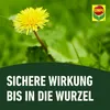 COMPO Rasenunkraut-Vernichter Banvel Quattro, Bekämpfung Produktbild-Vorschau 7
