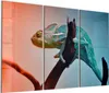 DEQORI Glasbild Echtglas 3x50x100 cm 'Chamäleon auf Ast' Produktbild-Vorschau 1