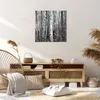 Bild auf Leinwand - Leinwandbild - Einteilig - Birken Wald Produktbild-Vorschau 7