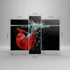 Bild auf Leinwand - Leinwandbild - Fisch Wasser Natur - Produktbild-Vorschau 3
