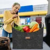 LZQ 2 × kôš na palivové drevo 60 l, plstený kôš z plsti a Náhľad obrázku produktu 10