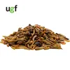 UGF Insektenmischung mit Gammarus 500g (3L), Igelfutter, Produktbild-Vorschau 3
