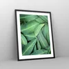 Gerahmtes Poster - Schwarzer Rahmen - Blätter Eukalyptus Produktbild-Vorschau 8