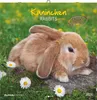 Kaninchen 2026 - Broschürenkal. 30x30 cm (30x60 geöffnet) Produktbild-Vorschau 1