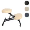 A kneeling chair with three color swatches on the right side. Náhled obrázku produktu