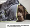 A brown dog is wrapped in a gray towel with a green trim. Anteprima dell’immagine prodotto