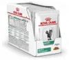 Royal Canin VD Cat capsules. Satiété Gestion du poids 12 × Voir les images du produit 1