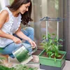 Gusta Garden Charly Chili, Topfpflanzer, Freistehend, Produktbild-Vorschau 17