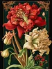 CALVENDO Puzzle Amaryllis | 1000 Teile Lege-Größe 64x48cm Produktbild-Vorschau 3