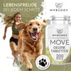 MYBUDDY Move Gelenktabletten Hund mit Grünlippmuschel MSM Produktbild-Vorschau 2
