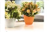 Sumela Smartpot Set mit 7 bunten Blumentöpfen und Produktbild-Vorschau 5