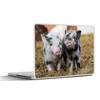 MuchoWow® Laptop Aufkleber Sticker Cover Schwein - Tiere - Produktbild-Vorschau 1