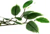 PLANTASIA Sztuczne drzewo figowe, 160 cm Podgląd zdjęcia produktu 3