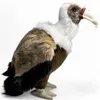 Carl Dick Geier, ongeveer 27 cm groot, pluche knuffel, Productafbeelding-voorbeeld 3