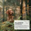 A Vizsla dog sitting in a forest setting with a marketing overlay. Produktbild-Vorschau
