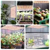 Collage of images showing LED grow lights used for plants and fish tanks. Produktbild-Vorschau