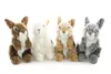 Hase hellbraun Roger 16 cm Kuscheltier Uni-Toys Produktbild-Vorschau 4
