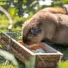 Trixie Futtertablett für Nager Produktbild-Vorschau 4