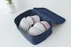 A blue fabric organizer box filled with bras is shown on a white surface. A small potted plant is visible in the background. Anteprima dell’immagine prodotto