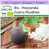 SAFLAX - Bio - Czarna Rzodkiew - 100 Nasiona - Raphanus Podgląd zdjęcia produktu 10