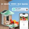 SucceBuy Smarte Vogel-Fütterer-Kamera, 2K HD, KI-ID 10000+ Produktbild-Vorschau 2
