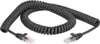 DELOCK RJ45 Spiralkabel Stecker zu Stecker Cat.5e 2m Náhled obrázku produktu 1