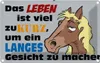 vianmo Blechschild 12x18 cm das Leben ist zu kurz um Pferd Produktbild-Vorschau 1