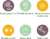 Viburnum tinus - Roślina stojąca - Roślina tarasowa - Podgląd zdjęcia produktu 8