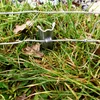 20 W-Profil Zaunanker Erdanker für Wildzaun Forstzaun Produktbild-Vorschau 5