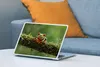 MuchoWow® Laptop Aufkleber Sticker Cover Rotäugiger Produktbild-Vorschau 4