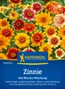 Kiepenkerl Zinniensamen Old Mexiko Zinnia angustifolia 80 Produktbild-Vorschau 1