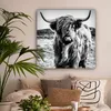 OneMillionCanvasses® - Plátno - Skotský horal - Příroda - Náhled obrázku produktu 2