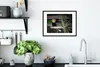 MuchoWow® MuchoWow® Gerahmtes Poster Roter Panda - Bambus - Produktbild-Vorschau 4