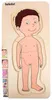 Beleduc Holzpuzzle Junge - Lernspielzeug Körper Anatomie Produktbild-Vorschau 9