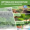 TTL GARDEN PE Frühbeetfolie 10x3m gelocht 20g/m² Produktbild-Vorschau 5
