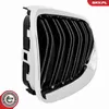 ESEN SKV 66SKV118 Kühlergrill Frontgrill für BMW 3 Coupe Produktbild-Vorschau 15