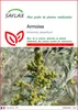 SAFLAX  - Armoise - 500 graines - Artemisia Voir les images du produit 1