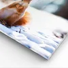 Bild auf Leinwand - Leinwandbild - Eichhörnchen Winter Produktbild-Vorschau 5