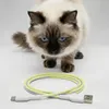 Distributore automatico di cibo per gatti Peluvio Crispy Anteprima dell’immagine prodotto 5