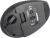 TRUST Trust Bayo+ mouse Office Right-hand RF Wireless + Voir les images du produit 17