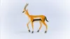 schleich WILD LIFE 14861, 3 rok / roky, Hnedá, Biela, Plast Náhľad obrázku produktu 6